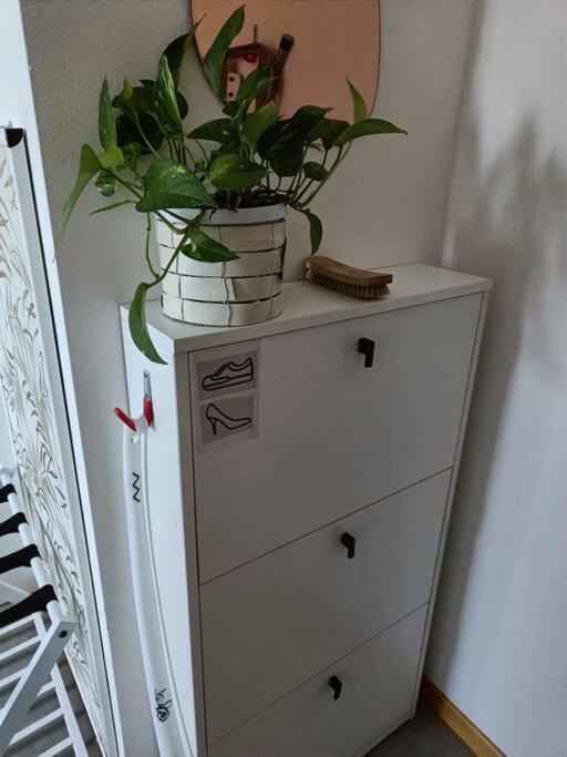 Art-Apart Lt Appartamento Con Giardino Privato Padova Dış mekan fotoğraf